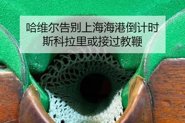 哈维尔告别上海海港倒计时 斯科拉里或接过教鞭